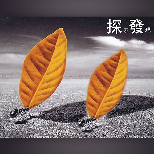 金融公司標(biāo)志設(shè)計(jì),深圳標(biāo)志設(shè)計(jì)