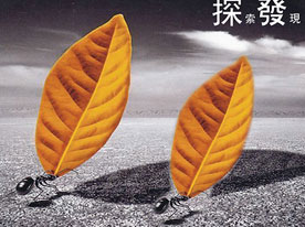 金融企業(yè)商標(biāo)設(shè)計(jì)，深圳商標(biāo)設(shè)計(jì)